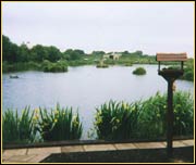 Fishery Image