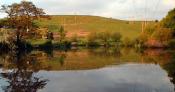 Fishery Image