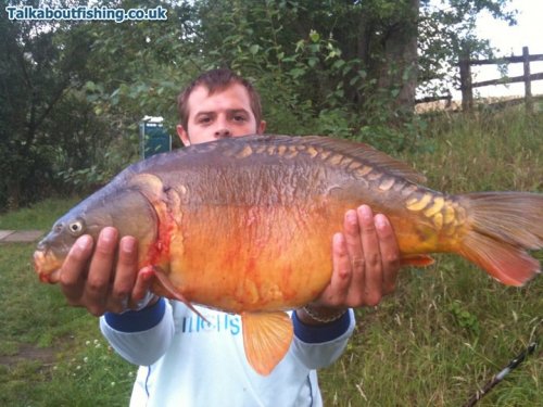 ah youngens 12.5lb at pinchy